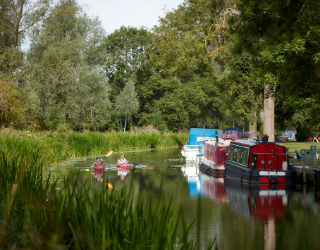 Two kayakers on the Chelmer and Blackwater Navigation